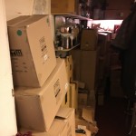 boxes-of-christmas-stock-tudor-rose-florist-bury-st-edmunds