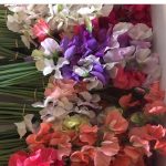 tudorroseflorist-suffolk-englishgrown-seetpeas-wedding-events-burystedmunds